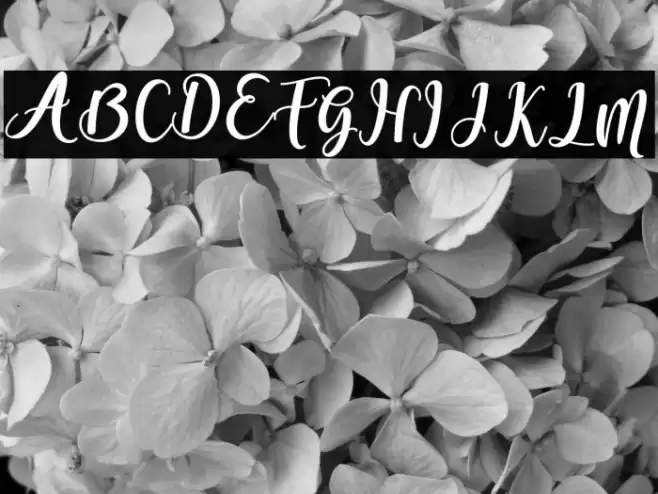 someday-Bold Font examples