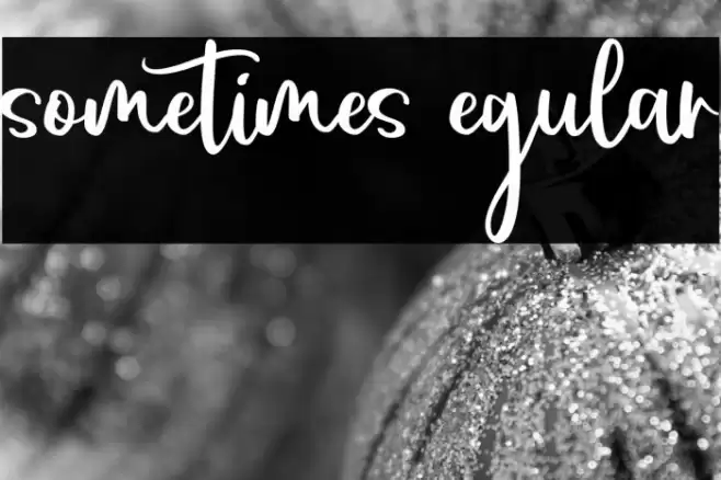 sometimes Regular Font examples