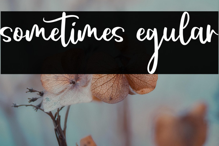 sometimes Regular Example 2