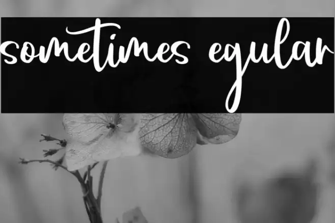 sometimes Regular Font examples