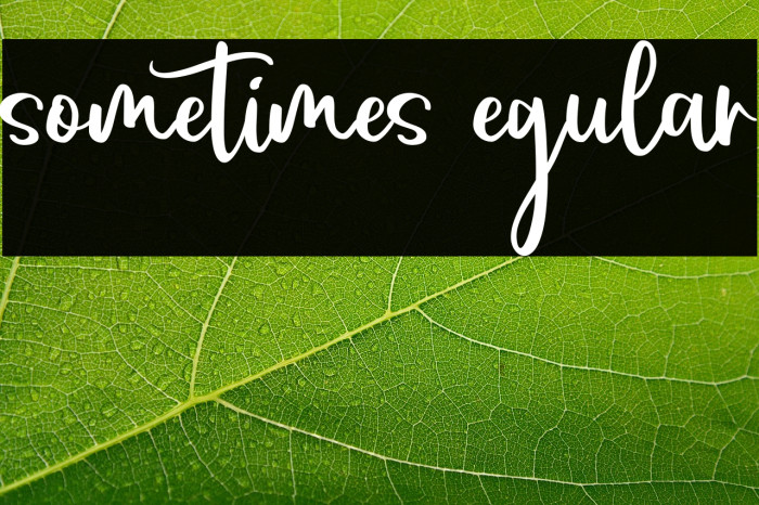 sometimes Regular Example 3