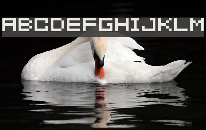 somybmp02_7 Font examples
