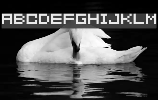 somybmp02_7 Fuentes examples