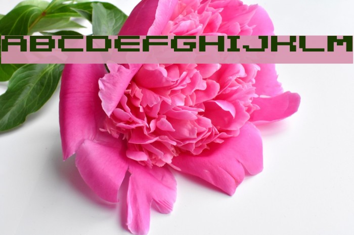 somybmp05_8 Font examples