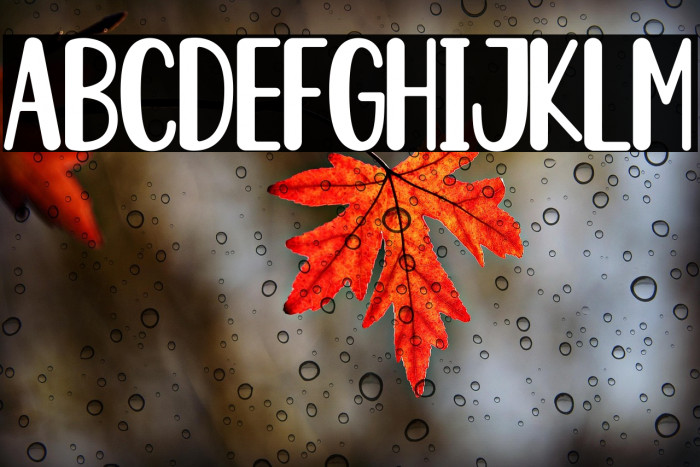 sonya cute Example 2