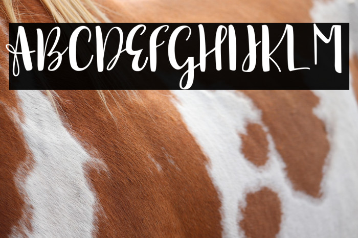 sonya demo version Regular Example 1