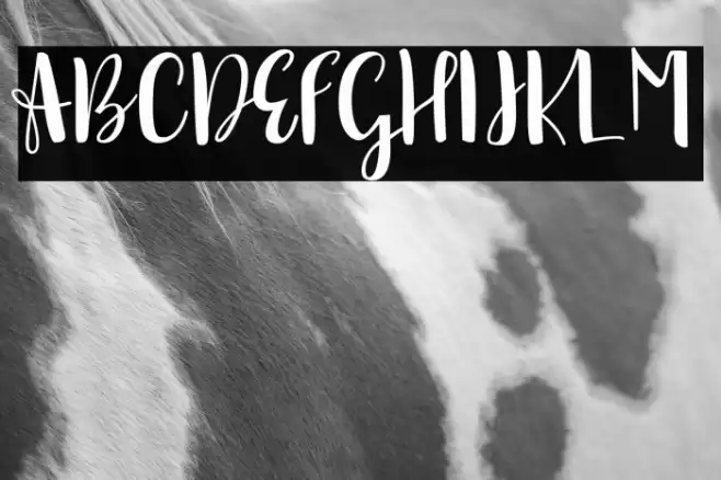 sonya demo version Regular Font examples