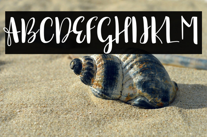 sonya demo version Regular Example 1