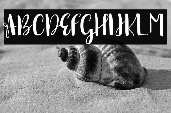 sonya demo version Regular Font examples