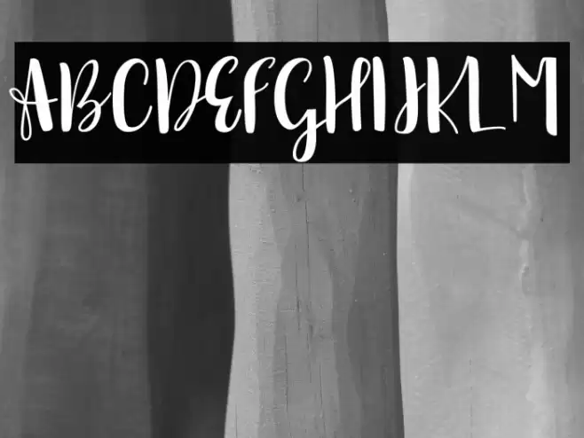 sonya demo version Regular Font examples