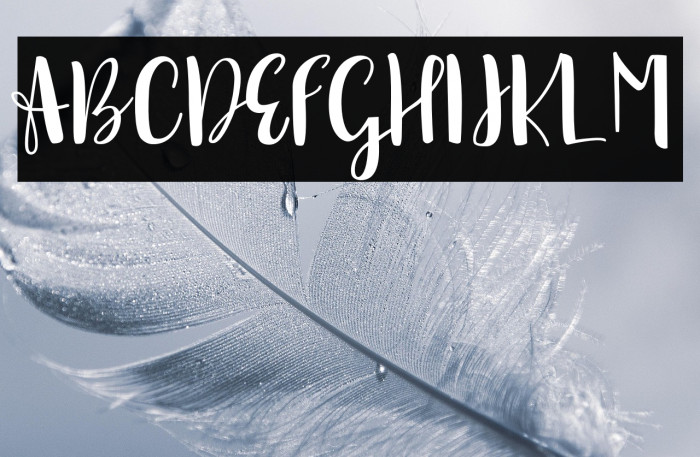 sonya demo version Regular Example 3