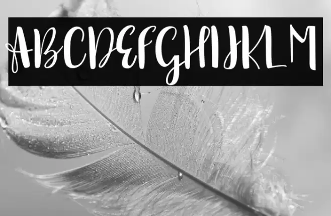 sonya demo version Regular Font examples