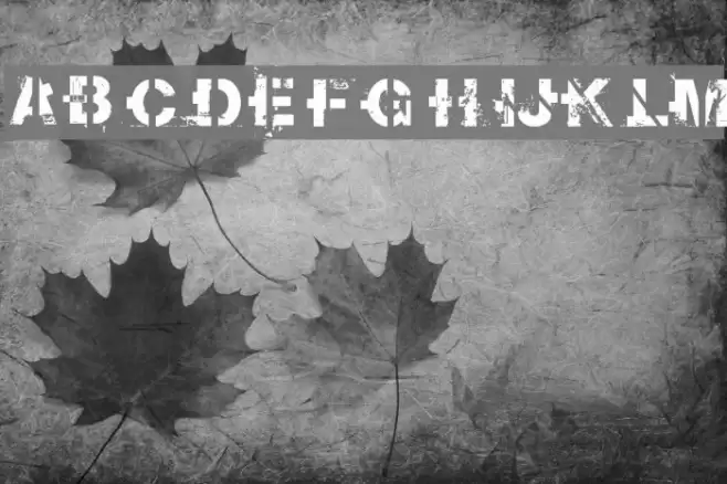 soot break Font examples