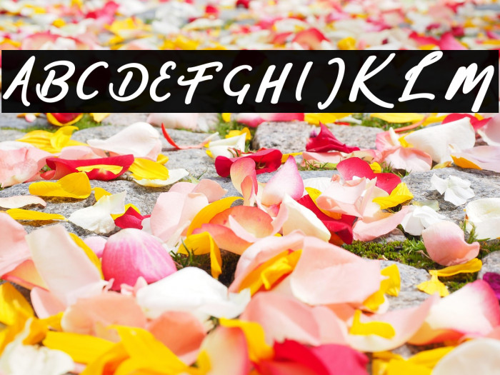 sophia-script Example 1