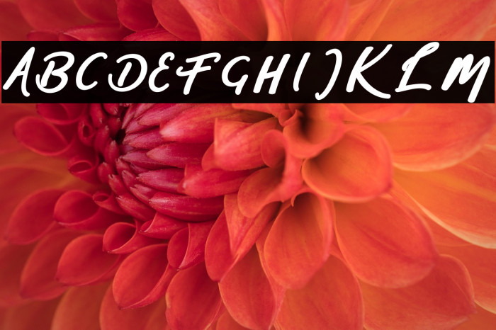 sophia-script Example 3