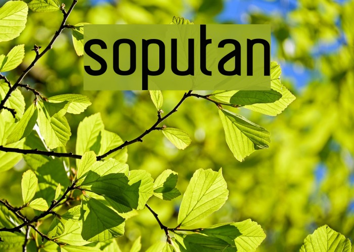 soputan Font examples