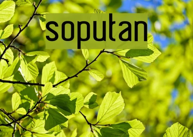 soputan Example 2