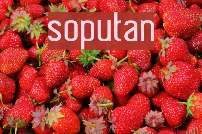 soputan Font examples