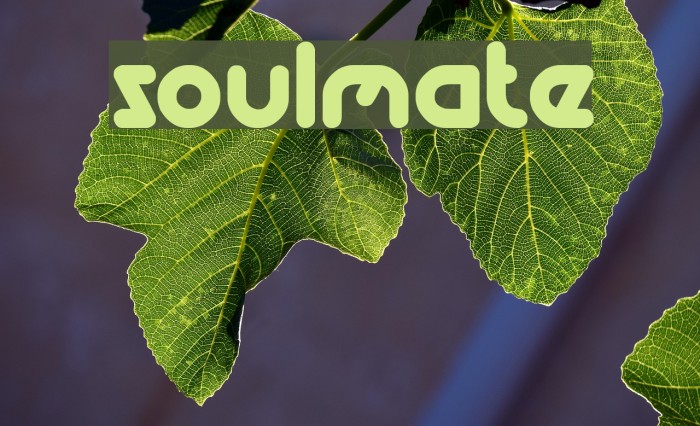 soulmate Font examples