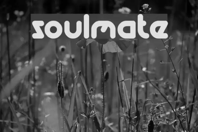 soulmate Font examples
