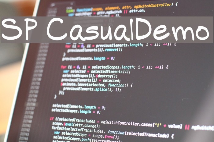 SP Casual-Demo Font examples