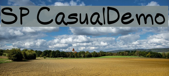 SP Casual-Demo Font examples