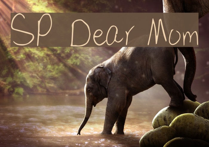 SP Dear Mom Fuentes examples