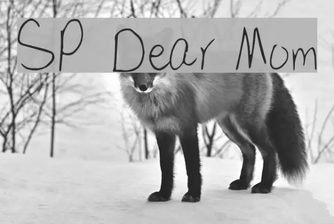 SP Dear Mom Font examples
