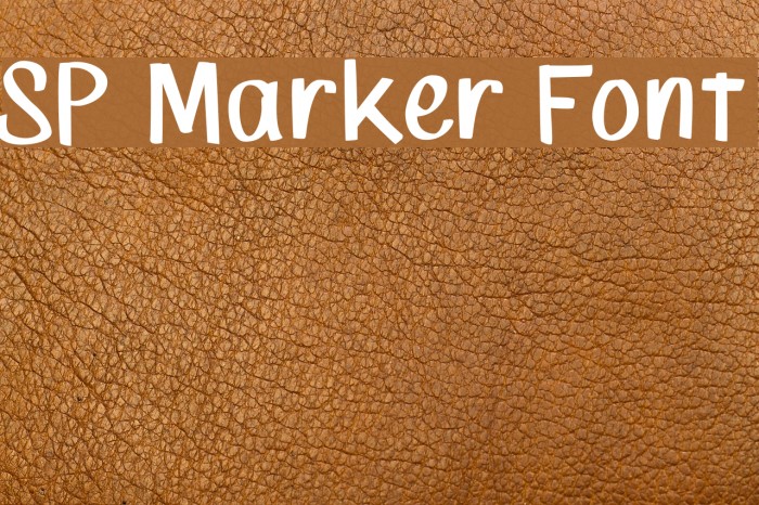 SP Marker Font Font examples