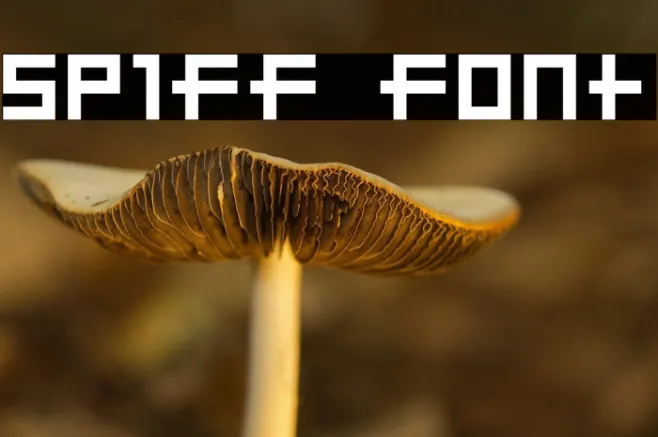SP1ff Example 1