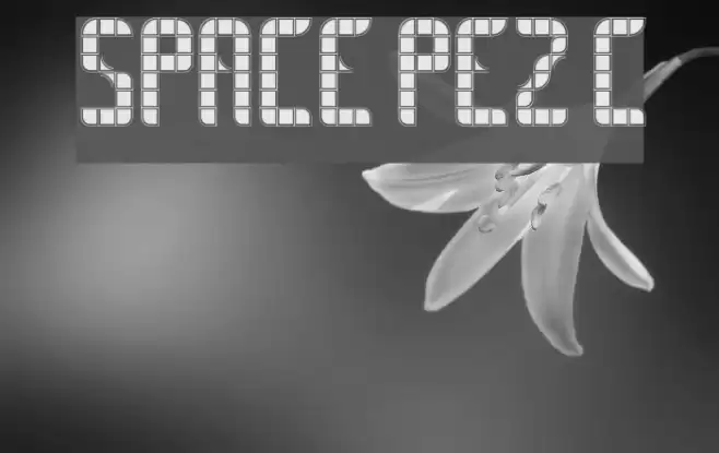 SPACE PEZ College Font examples