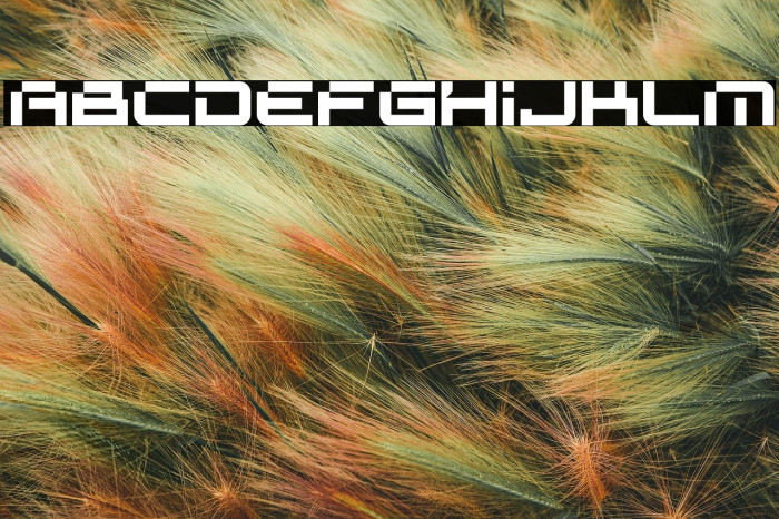 SPACE RACER Example 3