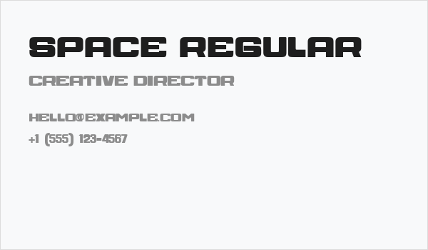 SPACE Regular Business Card