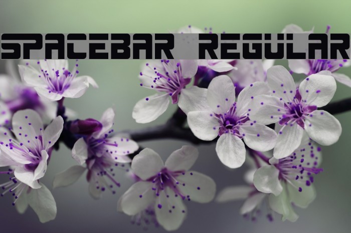 SPACEBAR Regular Example 3