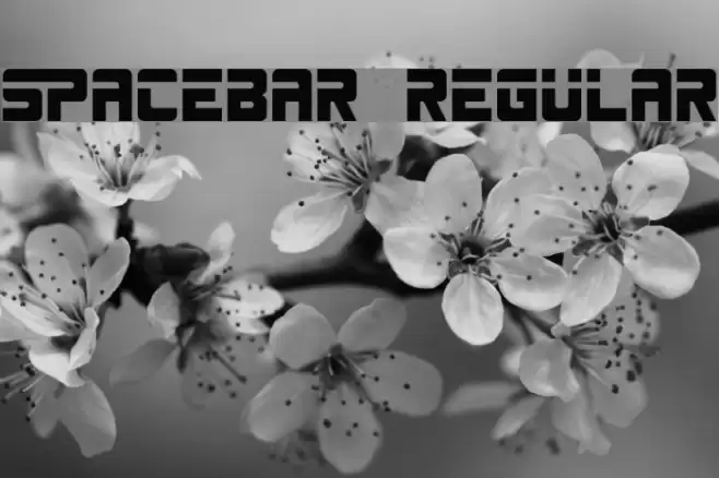SPACEBAR Regular Font examples