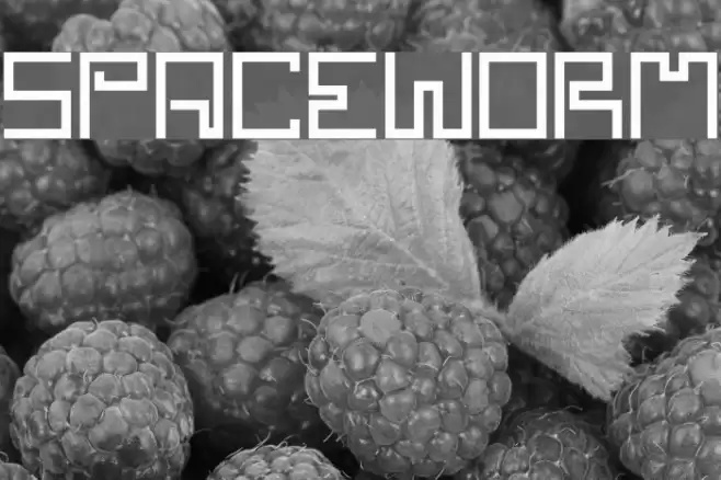 SPACEWORM Font examples