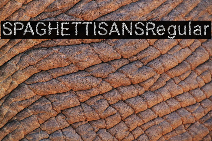 SPAGHETTISANSRegular Example 1