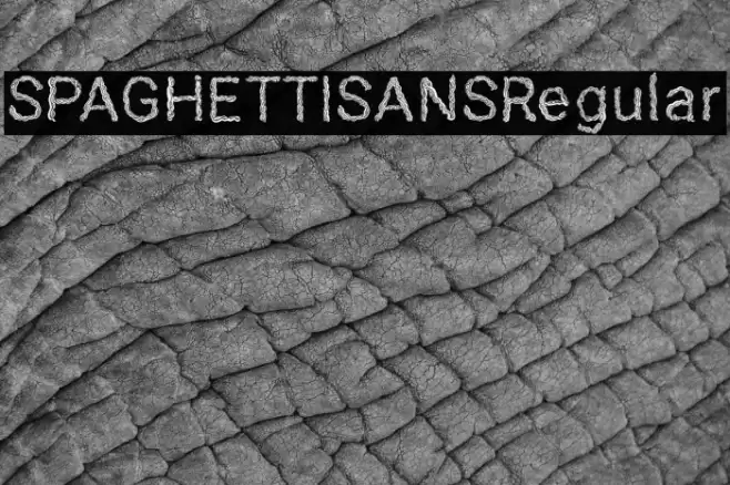 SPAGHETTISANSRegular Font examples