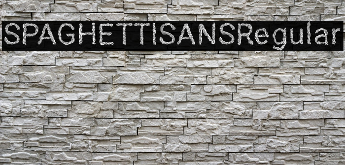 SPAGHETTISANSRegular Example 3