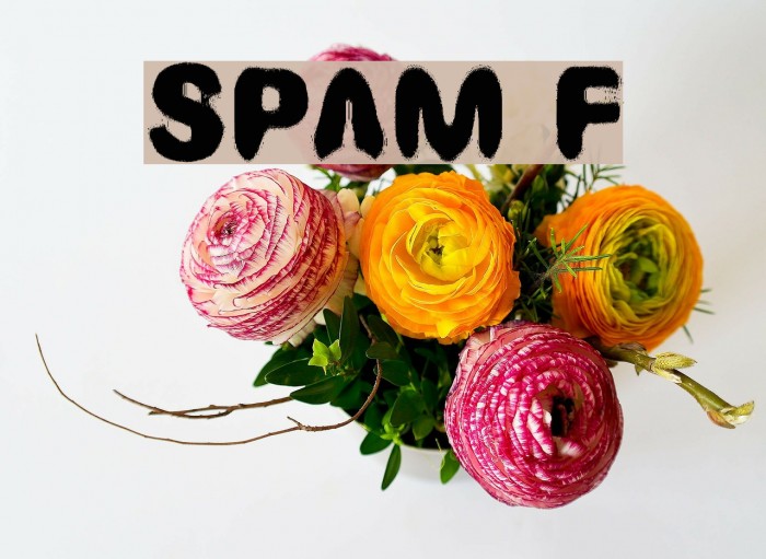SPAM Font examples