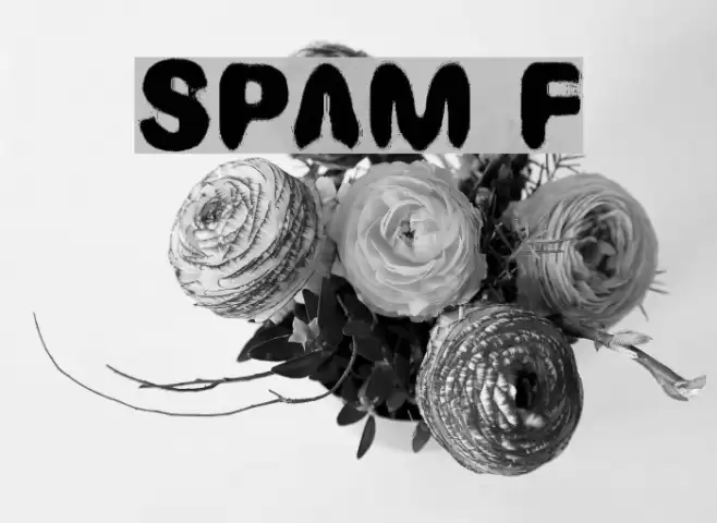 SPAM フォント examples