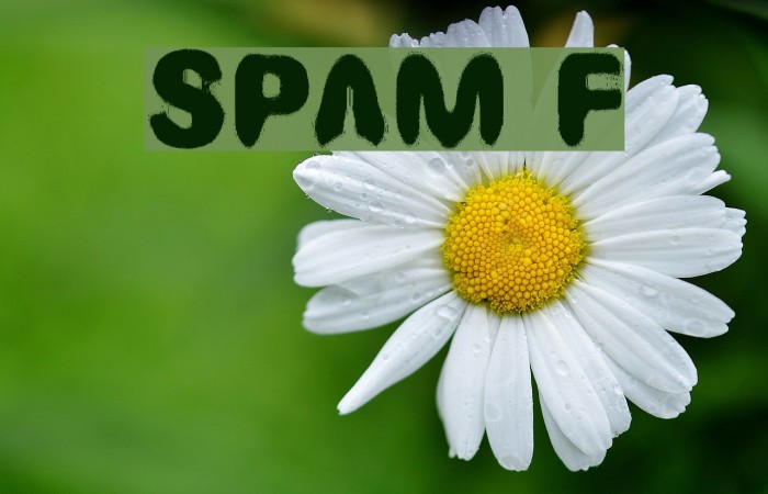 SPAM Font examples