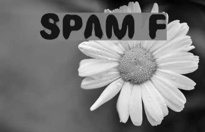 SPAM フォント examples