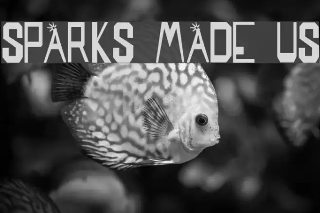SPARKS MADE US Font examples