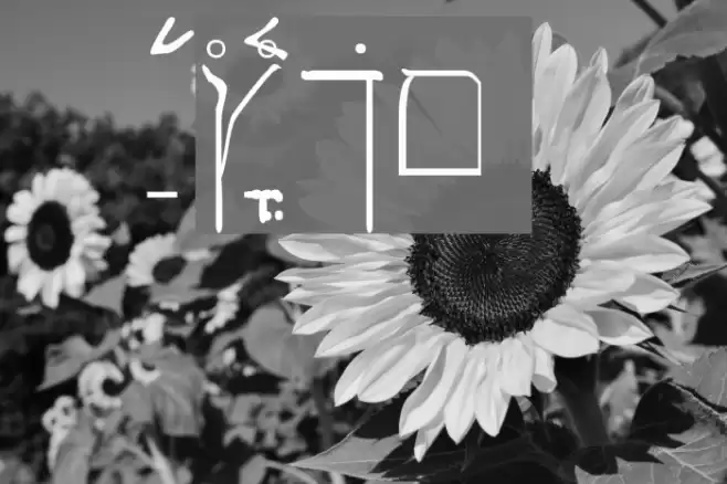 SPDamascus Font examples