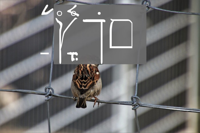 SPDamascus Example 2