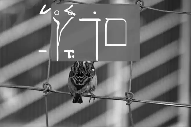 SPDamascus Font examples