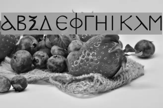 SPDoric Fuentes examples