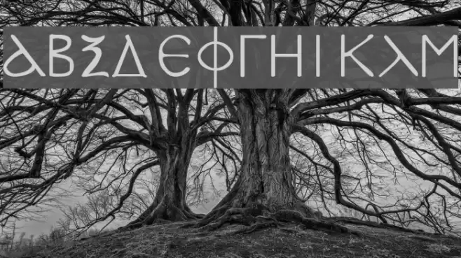 SPDoric Fuentes examples