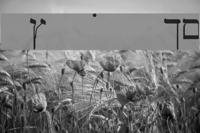 SPEzra Font examples